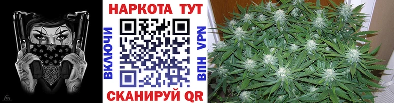 Какие есть наркотики Ленинск-Кузнецкий COCAIN  кракен зеркало  Alpha PVP  Конопля  Гашиш  Псилоцибиновые грибы 