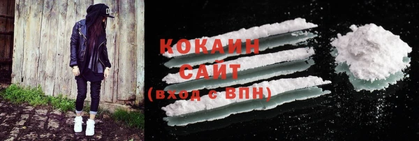 твердый Белокуриха