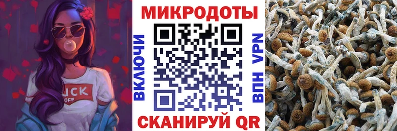 Псилоцибиновые грибы Magic Shrooms  как найти закладки  Ленинск-Кузнецкий 